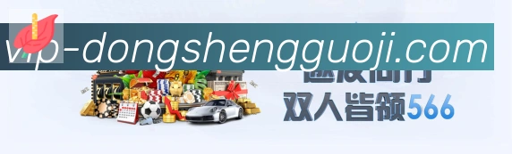登录器